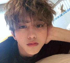 啾咪啾咪娱乐爆料,娱乐圈最新动态大揭秘 第1张 啾咪啾咪娱乐爆料,娱乐圈最新动态大揭秘 第1张